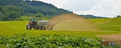 磷钾肥是什么肥料 磷钾肥料的有哪些