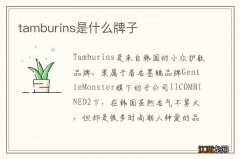 tamburins是什么牌子