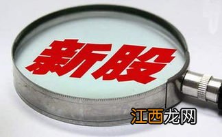 新债是什么？