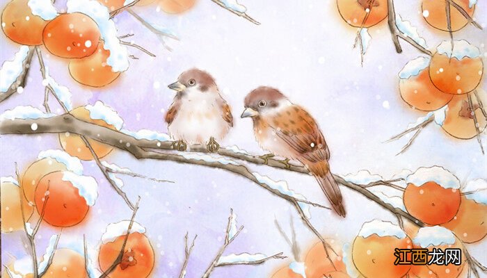 小斑鸠什么情况下会死掉 小斑鸠什么情况下会死