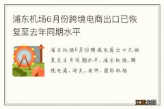 浦东机场6月份跨境电商出口已恢复至去年同期水平