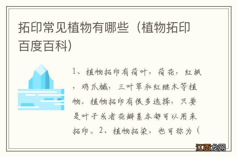 植物拓印百度百科 拓印常见植物有哪些