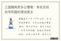 三国魏高贵乡公曹髦：有名无权自寻死路的潜龙君主