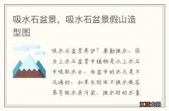 吸水石盆景，吸水石盆景假山造型图