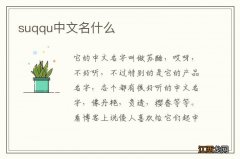 suqqu中文名什么