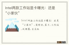 Intel两款工作站显卡曝光：还是“小家伙”