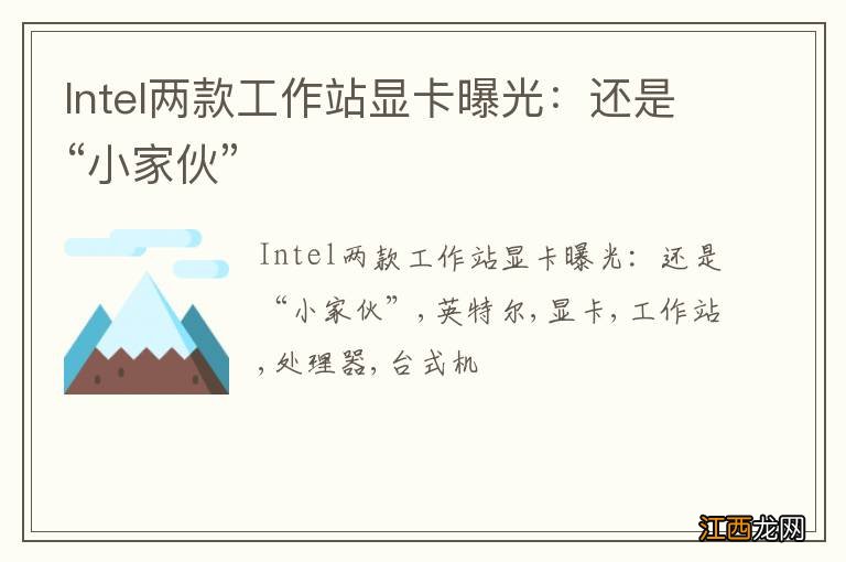 Intel两款工作站显卡曝光：还是“小家伙”