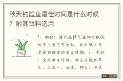 秋天钓鲤鱼最佳时间是什么时候？附其饵料选用