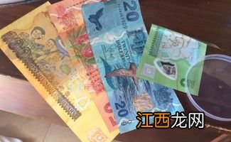 dollars是什么币？