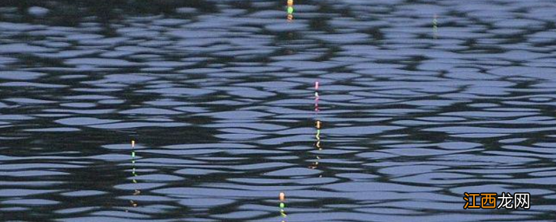 夜钓什么时间段好钓?附夜钓注意事项