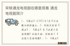 宋轶遇龙电视剧在哪里观看 遇龙电视剧简介