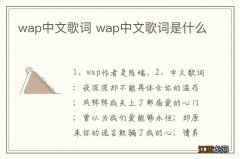 wap中文歌词 wap中文歌词是什么