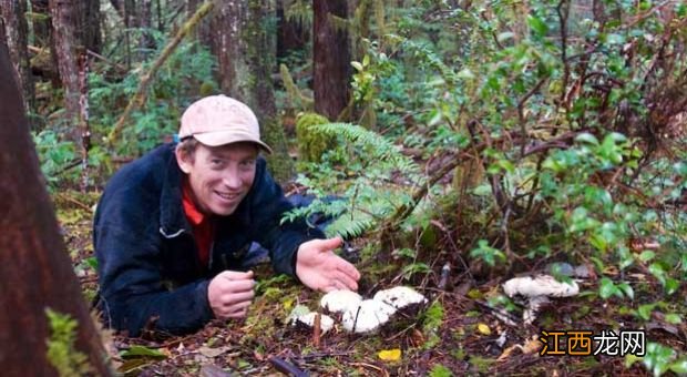 美国男子给自己注射蘑菇后器官衰竭，蘑菇在体内吸血疯狂繁殖