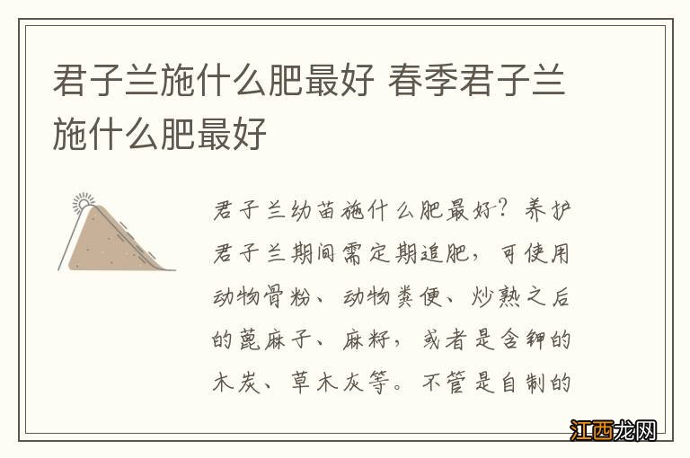 君子兰施什么肥最好 春季君子兰施什么肥最好