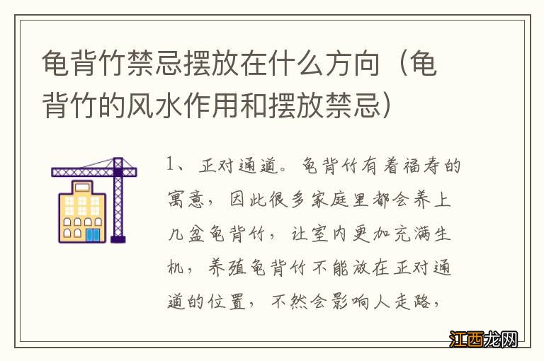 龟背竹的风水作用和摆放禁忌 龟背竹禁忌摆放在什么方向