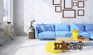 室内适合种檀香吗 檀香盆栽适合家养吗