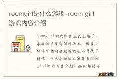 roomgirl是什么游戏-room girl游戏内容介绍