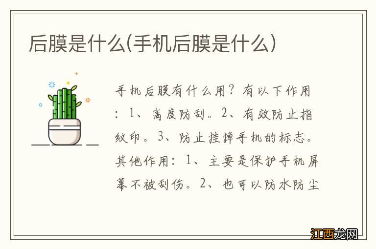 手机后膜是什么 后膜是什么