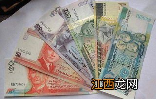 2018入镜菲律宾最低要求带多少人民币？