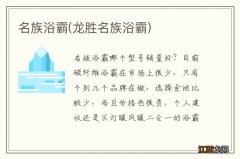 龙胜名族浴霸 名族浴霸