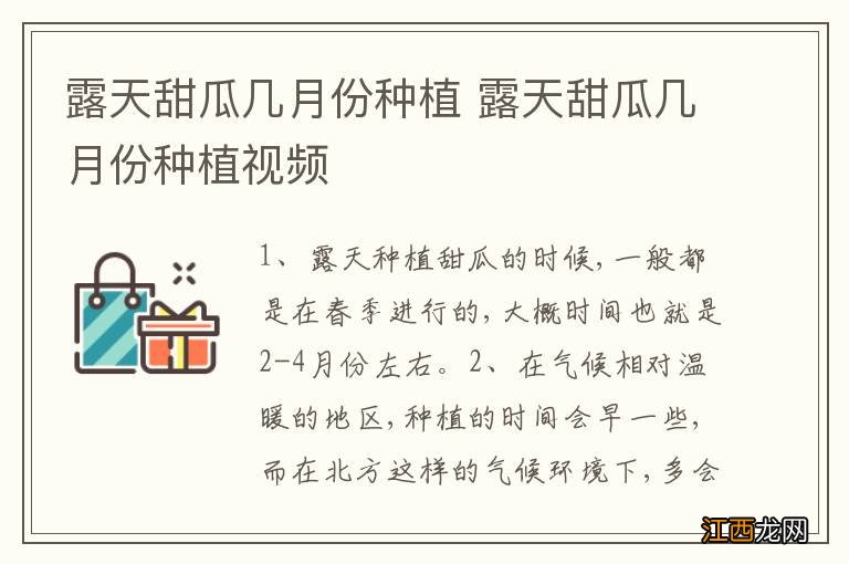 露天甜瓜几月份种植 露天甜瓜几月份种植视频