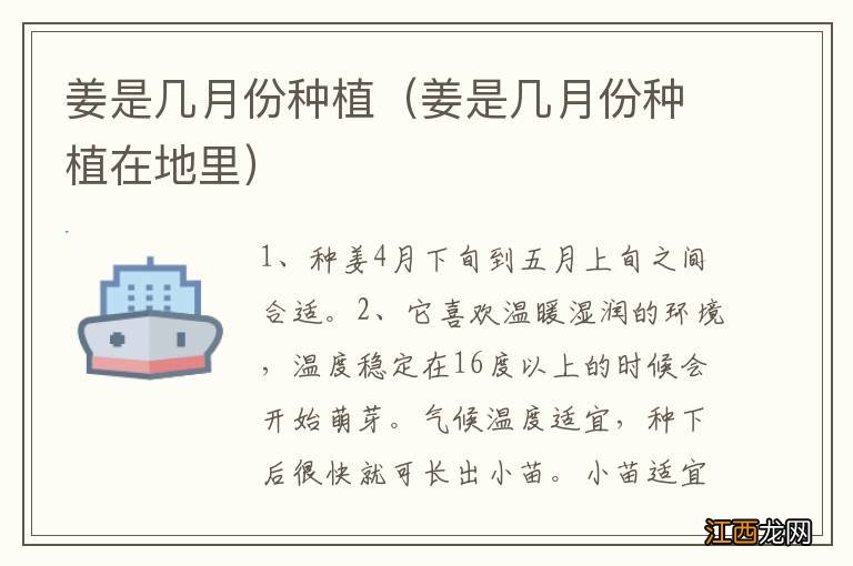 姜是几月份种植在地里 姜是几月份种植