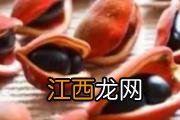 冬寒菜的功效与作用 冬寒菜的食用方式和注意事项