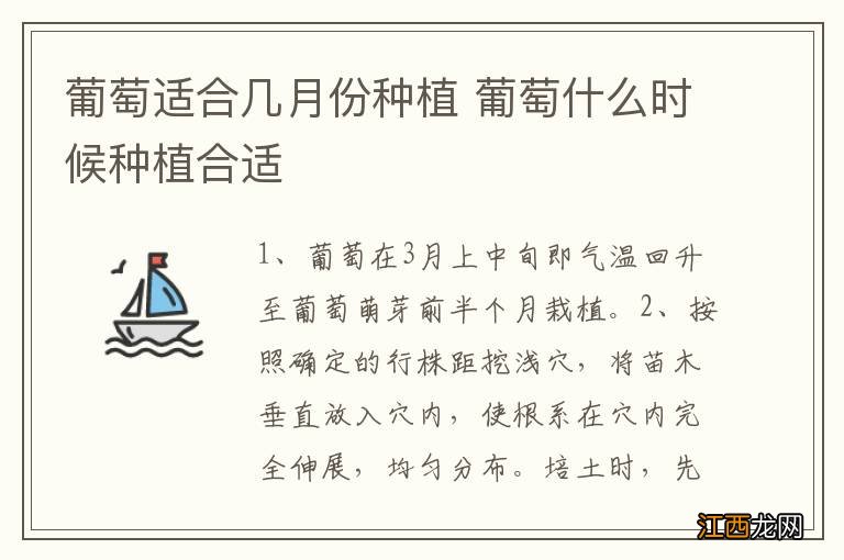 葡萄适合几月份种植 葡萄什么时候种植合适