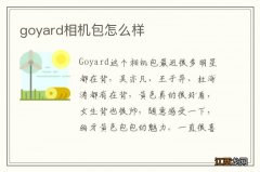 goyard相机包怎么样