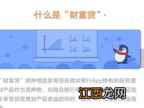 什么样的理财产品可以质押？