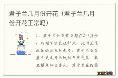 君子兰几月份开花正常吗 君子兰几月份开花