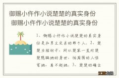 御赐小仵作小说楚楚的真实身份 御赐小仵作小说楚楚的真实身份是怎样的