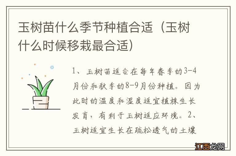 玉树什么时候移栽最合适 玉树苗什么季节种植合适