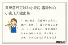 霜降前后可以种小麦吗 霜降种的小麦几天能出苗