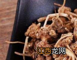 珠儿参的功效与作用