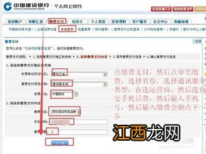 建行网银怎么交话费？