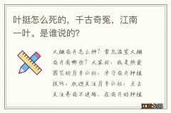 叶挺怎么死的，千古奇冤，江南一叶。是谁说的？