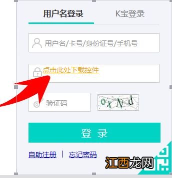 建行网上查询密码是什么？