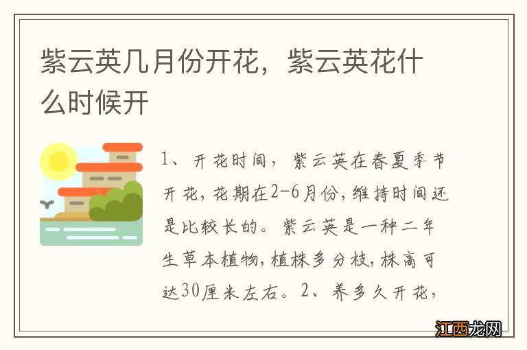 紫云英几月份开花，紫云英花什么时候开