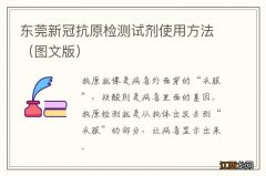 图文版 东莞新冠抗原检测试剂使用方法