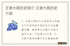 王家大院历史简介 王家大院历史介绍