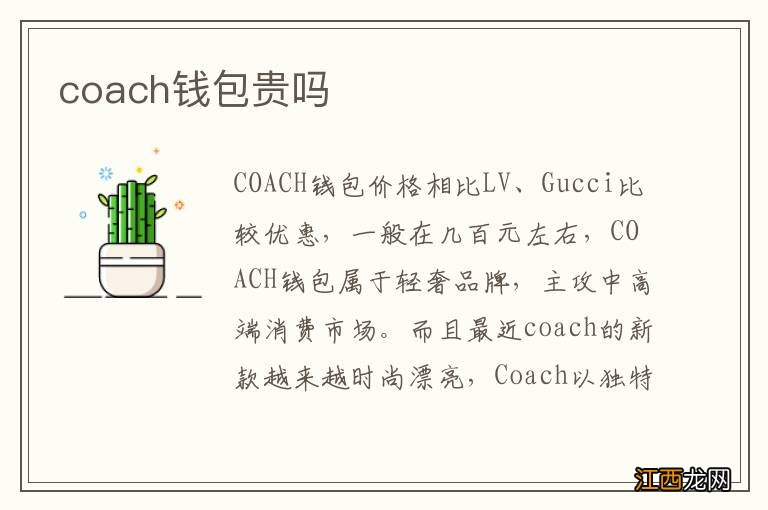 coach钱包贵吗