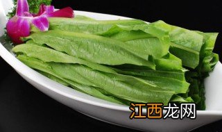 油麦菜几月份种植合适 油麦菜几月份种植