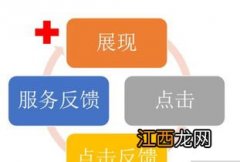 权重是什么意思？