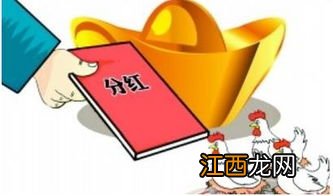 分配方案出来后什么时候分红？