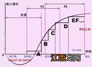 D轮是什么意思？