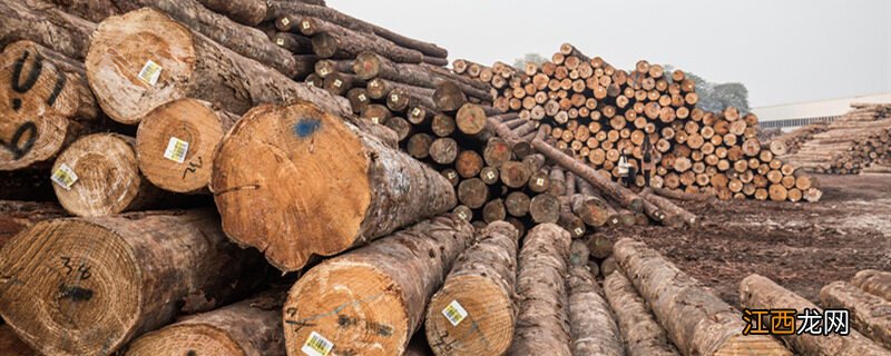 小巴花和刺猬紫檀哪个好 小巴花是什么木材