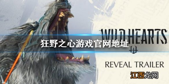 狂野之心游戏官网地址 Wild Hearts游戏官网地址