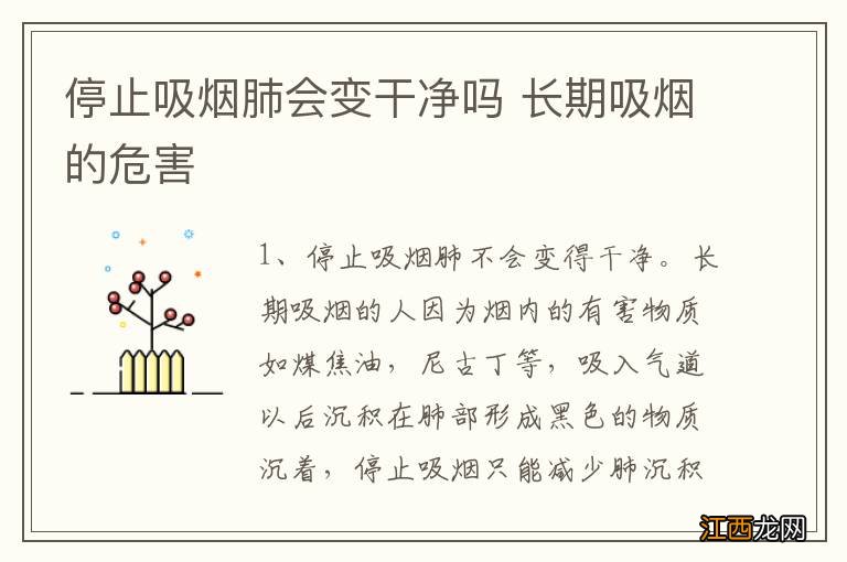 停止吸烟肺会变干净吗 长期吸烟的危害