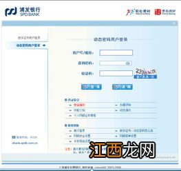 浦发银行查询密码是什么？